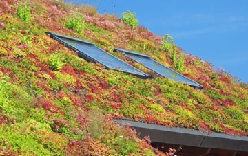 Blackhall living roof systems